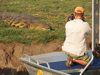 Hippo Croc Cruise Top Rated