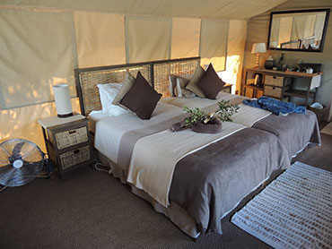 Tembe Elephant Park Accommodation