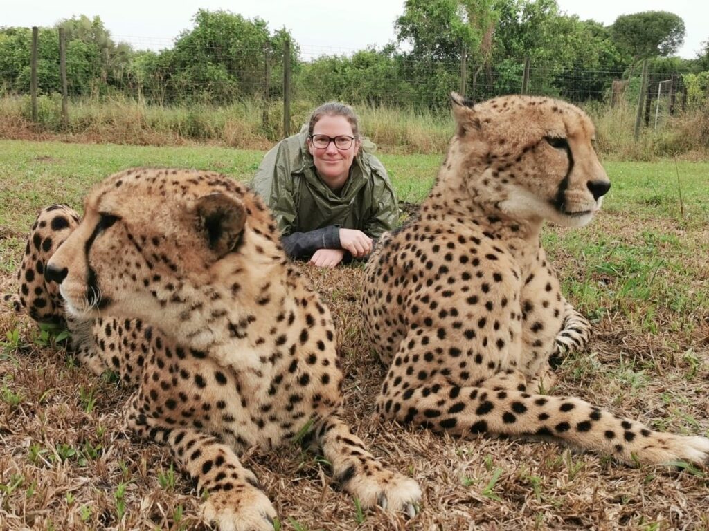 Cheetah Rehabilitation Project