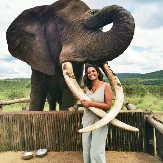 Elephant Interaction In Hluhluwe